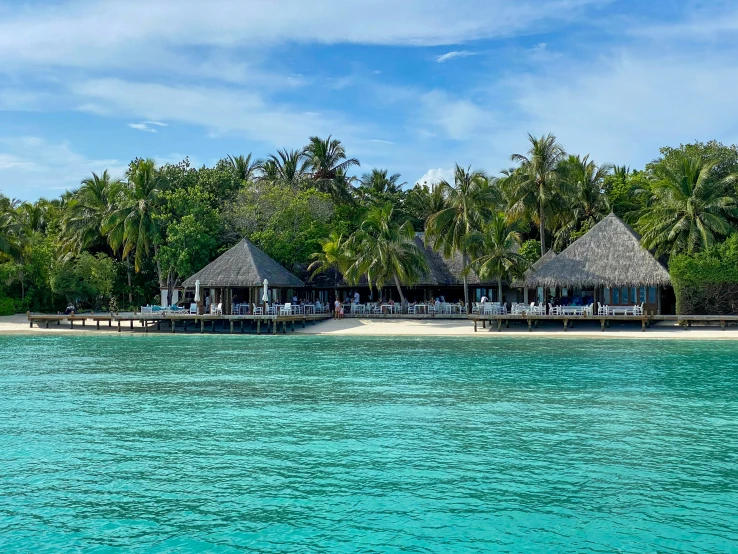 the blue ocean has several palm trees in it