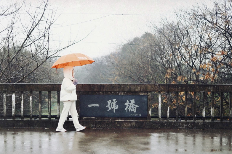 a woman holding an umbrella walking in the rain