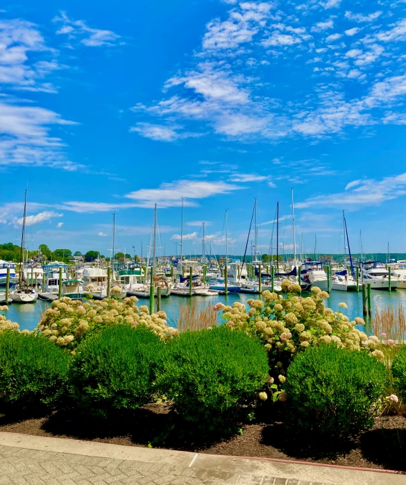 a marina full of boats on a sunny day