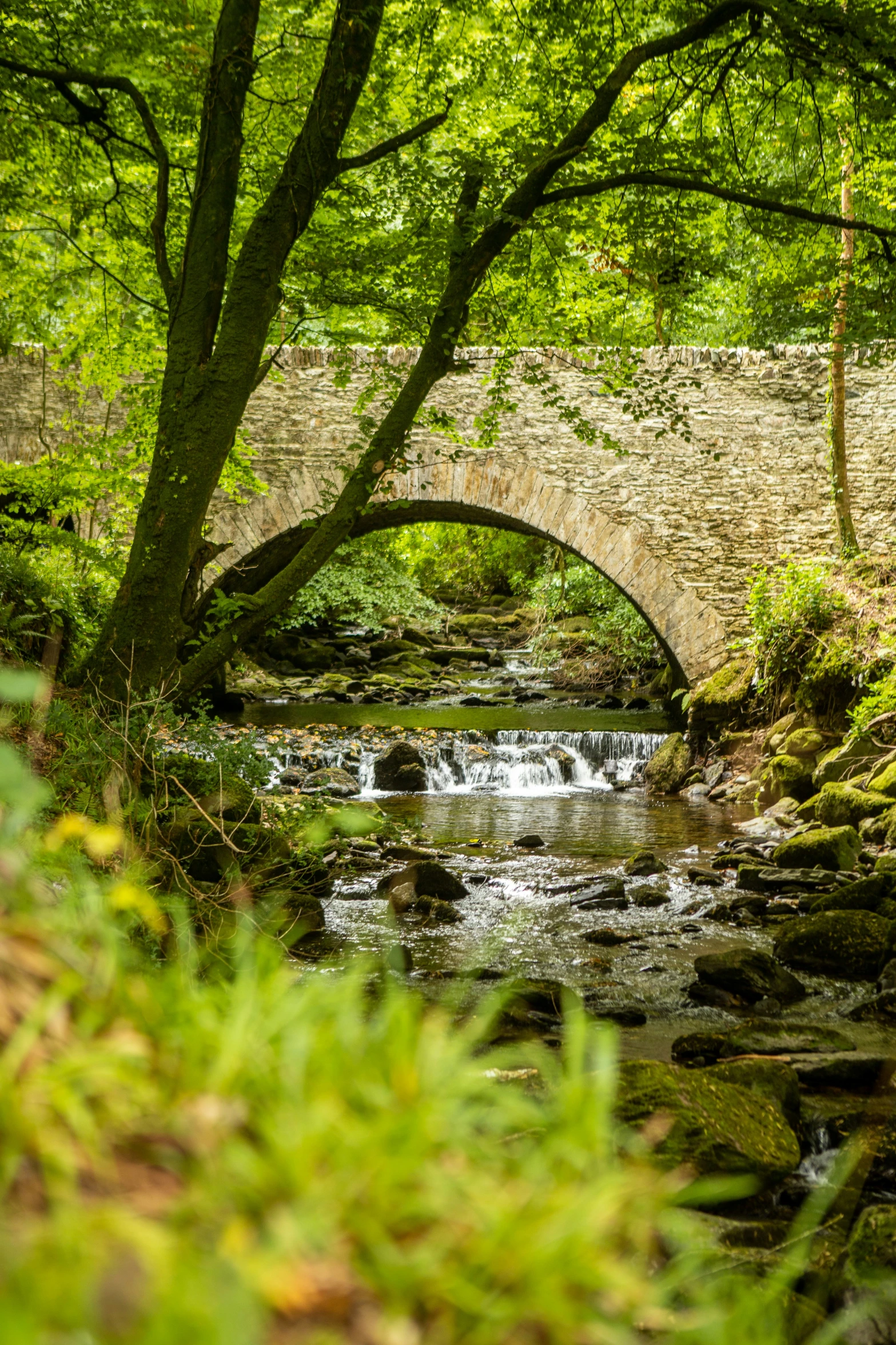 a small stream beneath a stone bridge