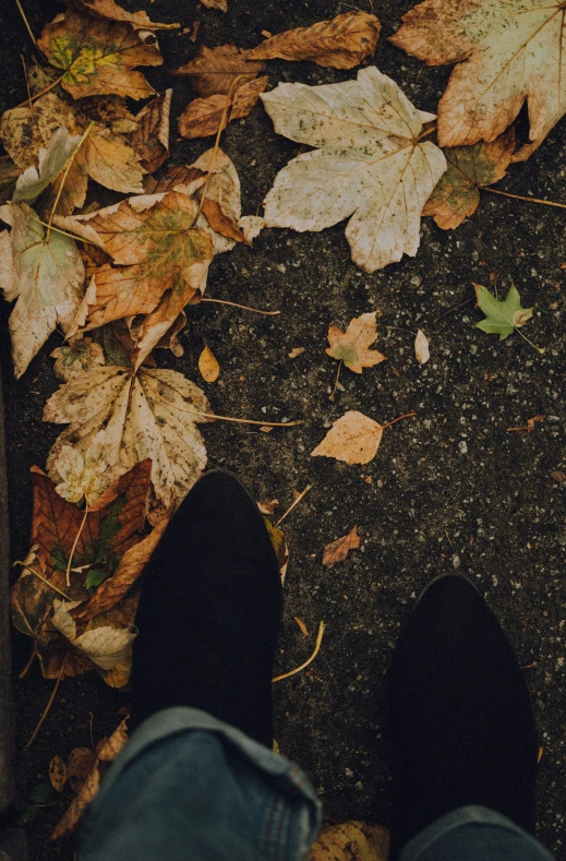 the shoes of two people in front of fallen leaves
