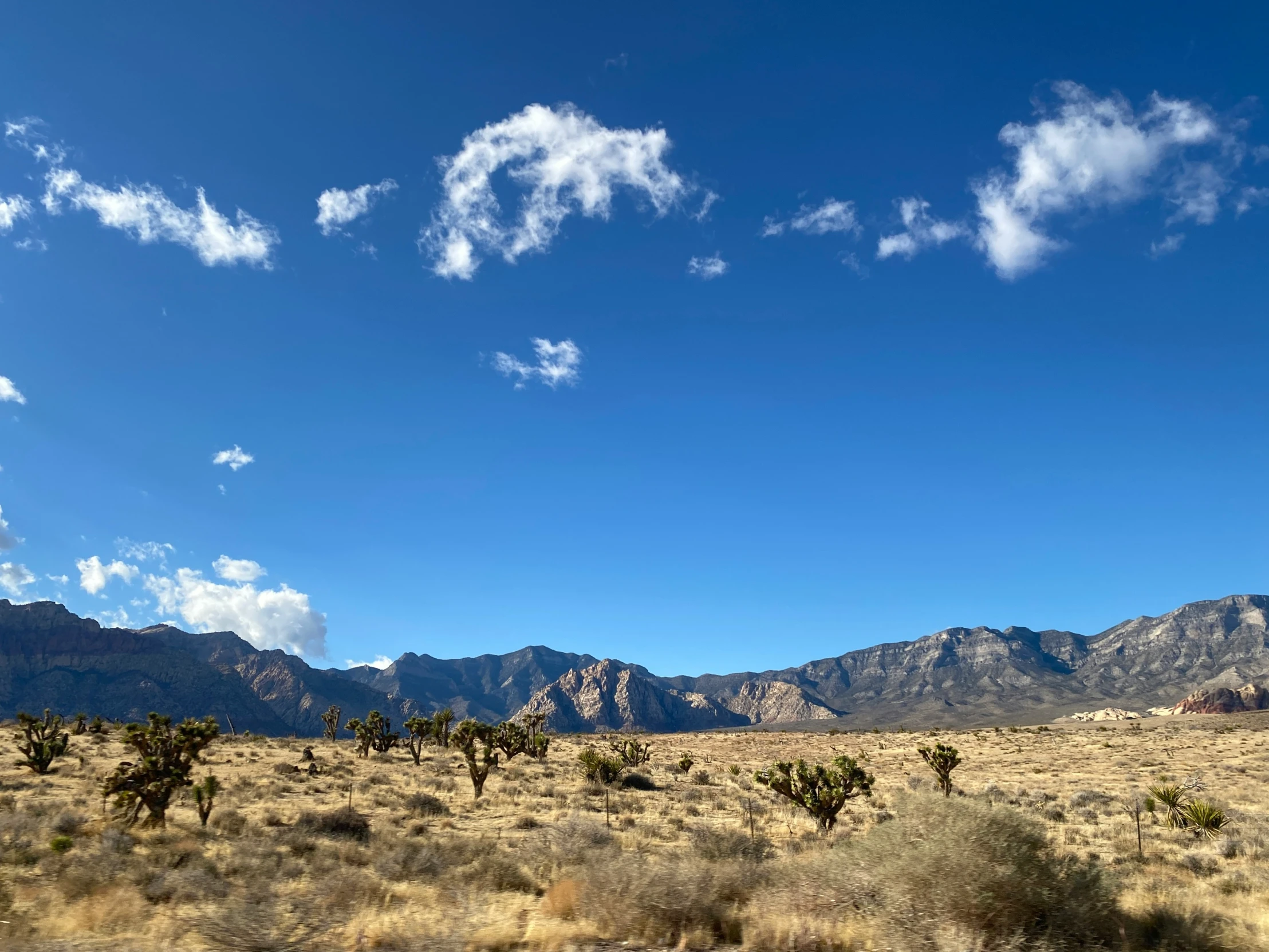 a large dry landscape with mountains and trees