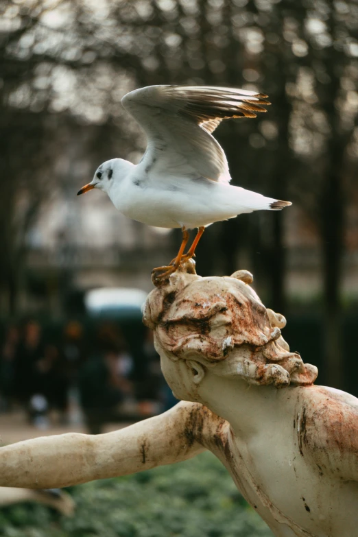 the small bird is perched on the statue