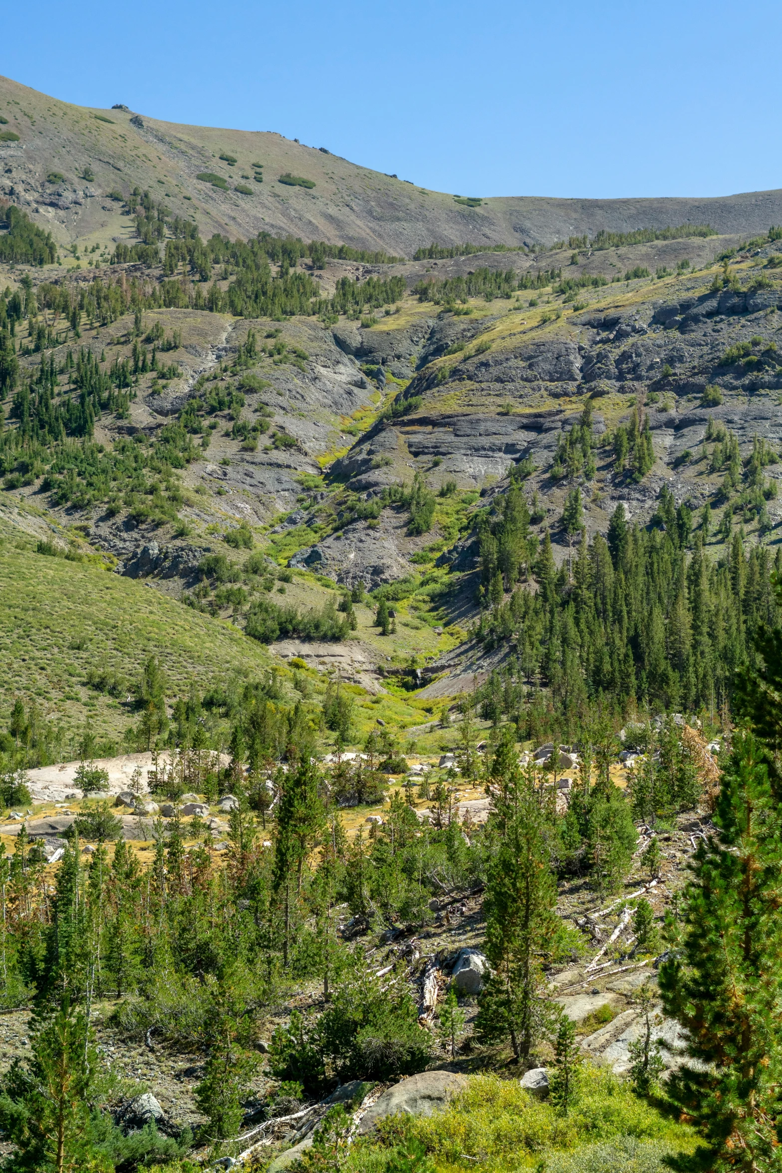 mountains are shown with a forest and blue sky