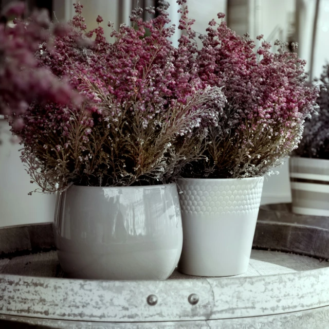 there are two white vases filled with flowers