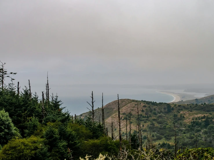 a view from a hillside of green hills and a body of water