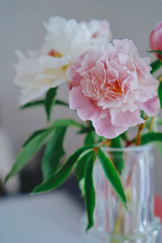 flowers in a small clear glass vase sitting on a table