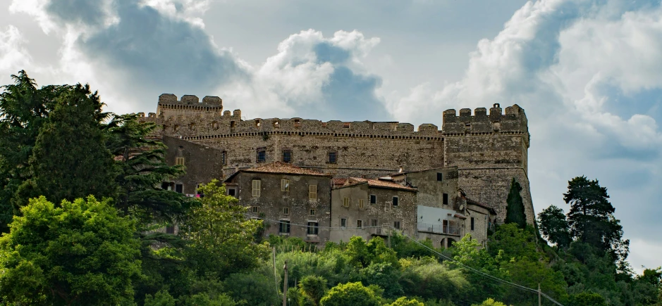 a tall castle building sitting on top of a forest covered hill