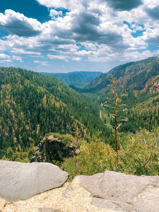 a view of some mountains, rocks, and trees