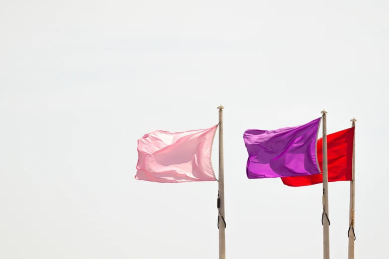 purple and red flags flying side by side