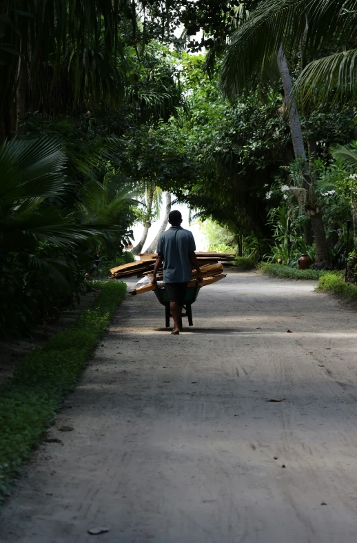 a man carrying two benches down a rural road