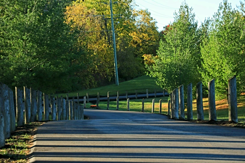 the roads and fences on the edge of this farm are lined with trees