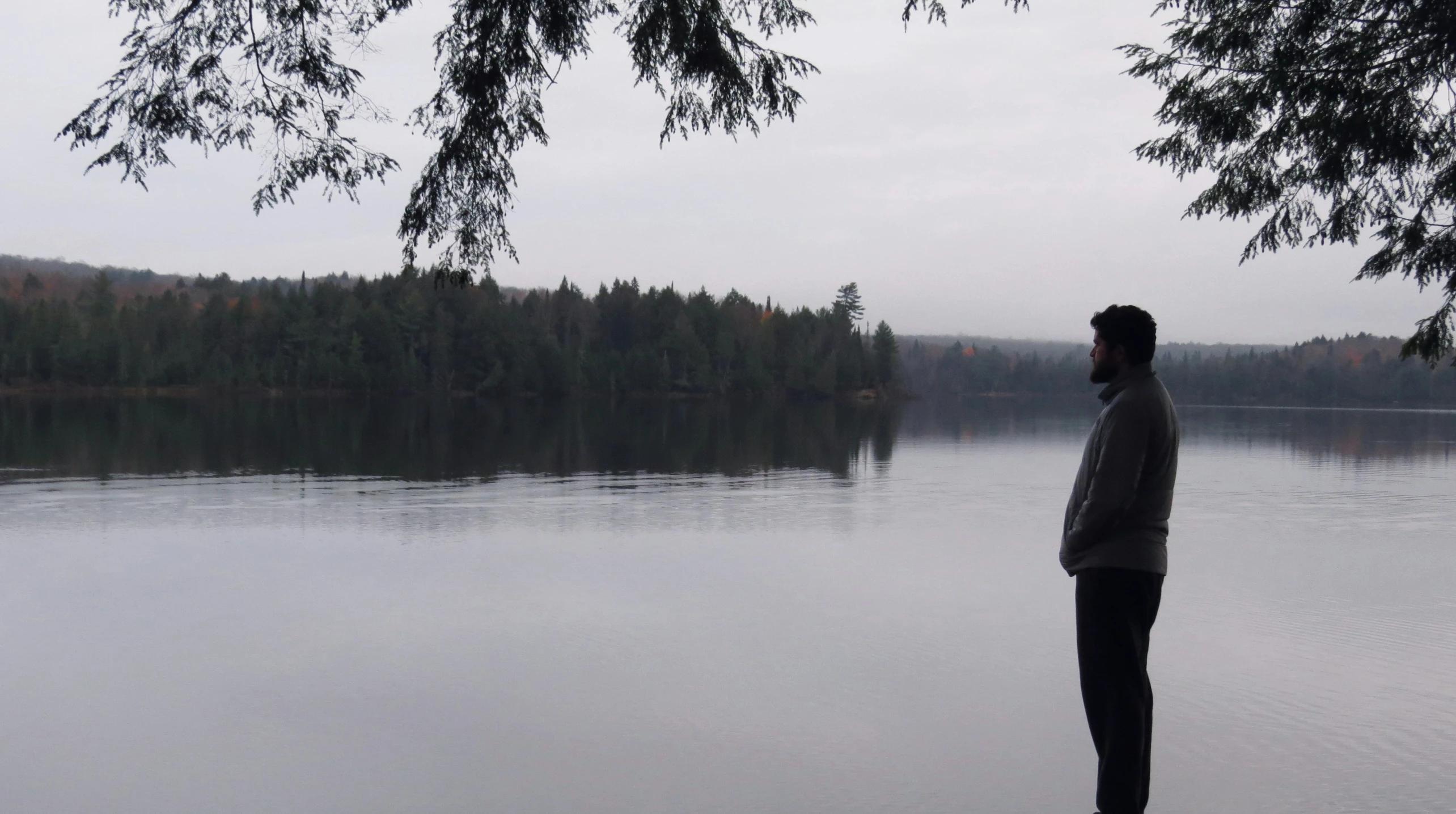 a man standing next to a tree near the water