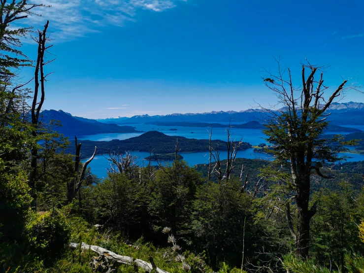 a view from a hillside looking out at the water