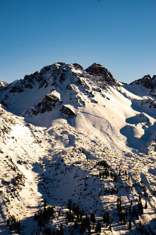 snowy mountain range with trees and snow on top