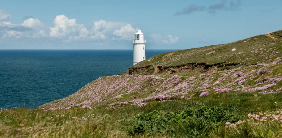 flowers bloom in front of a lighthouse at the top of a hill