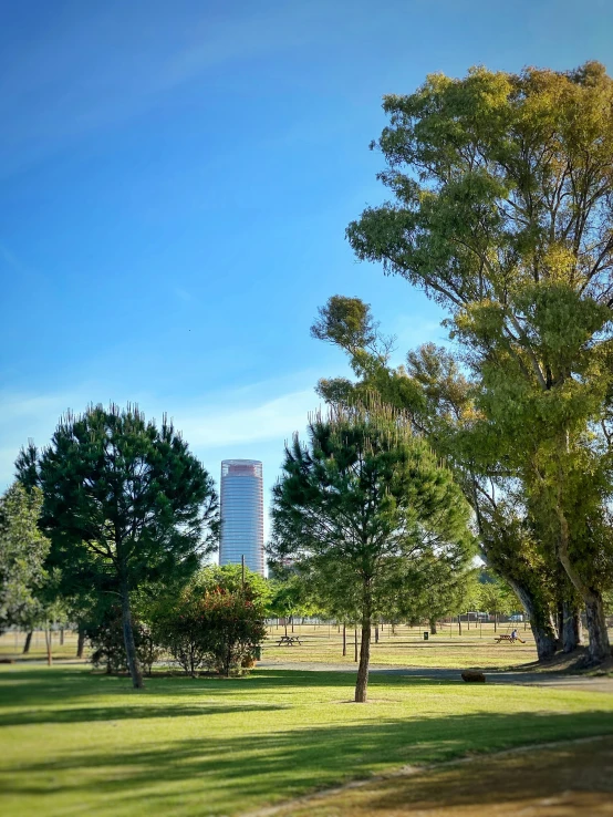 a field with trees and building behind the grass