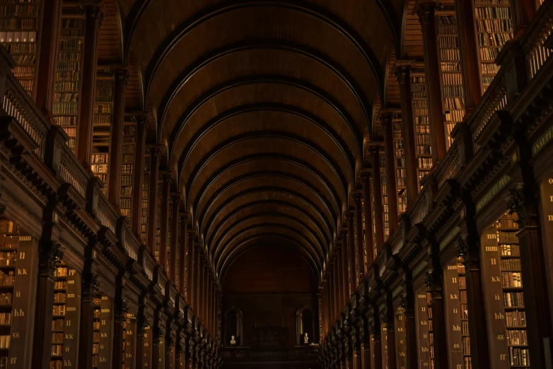 the long bookshelves are empty in a dark room