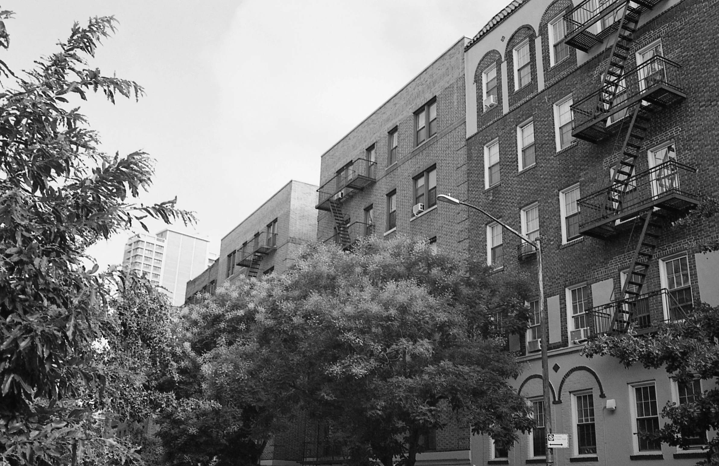 black and white pograph of some buildings and trees