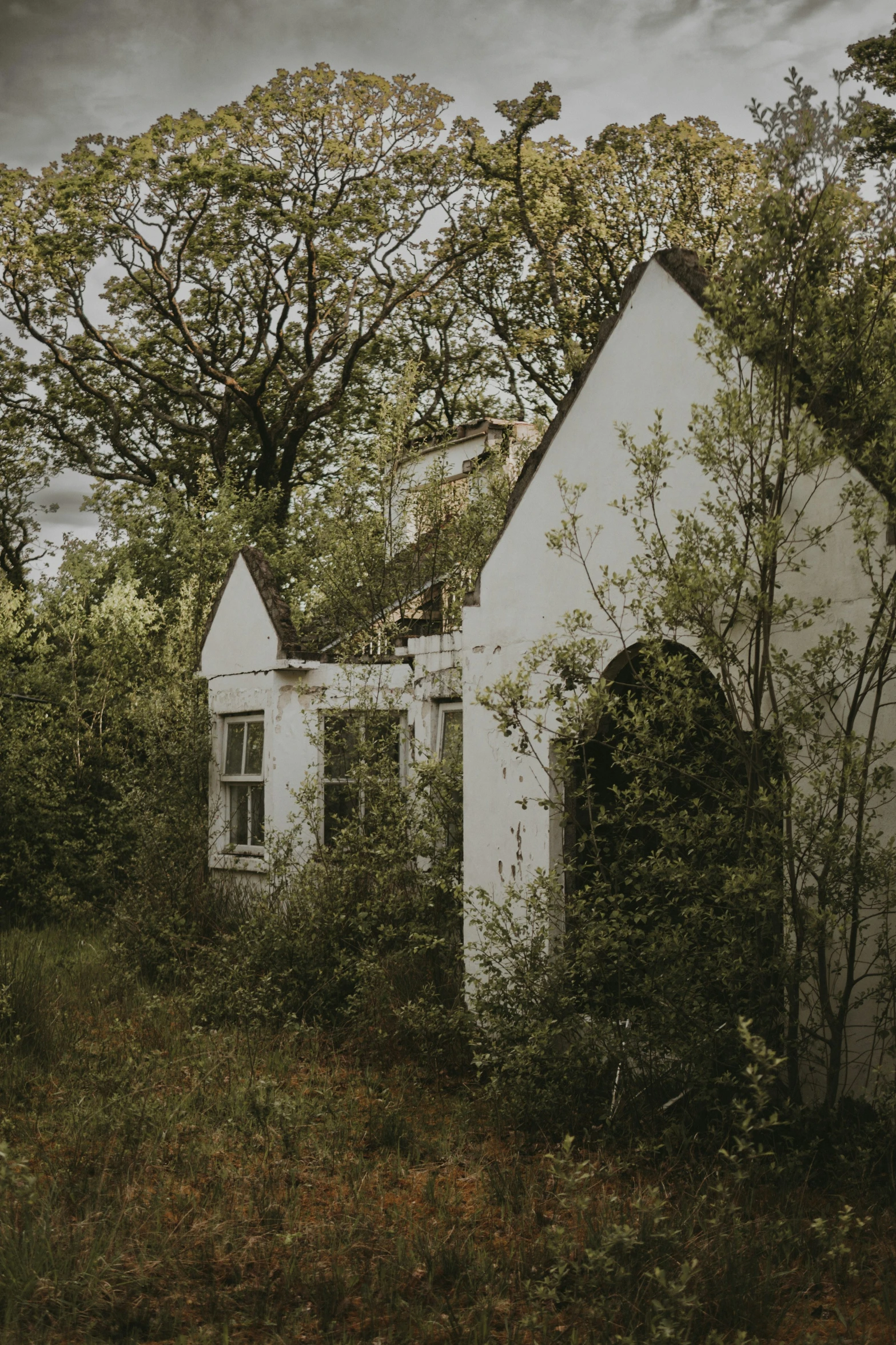 an old abandoned building in the middle of the woods