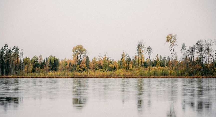 trees and water in the foreground are reflected on a clear day