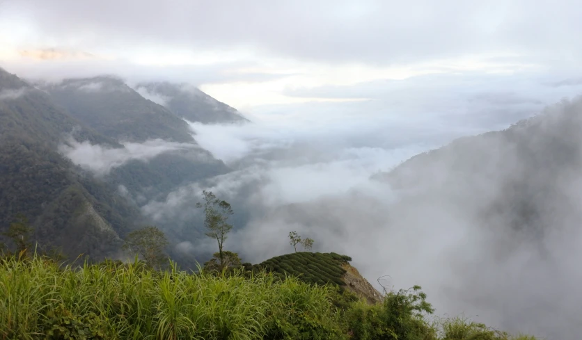 mountains are covered in clouds and fog