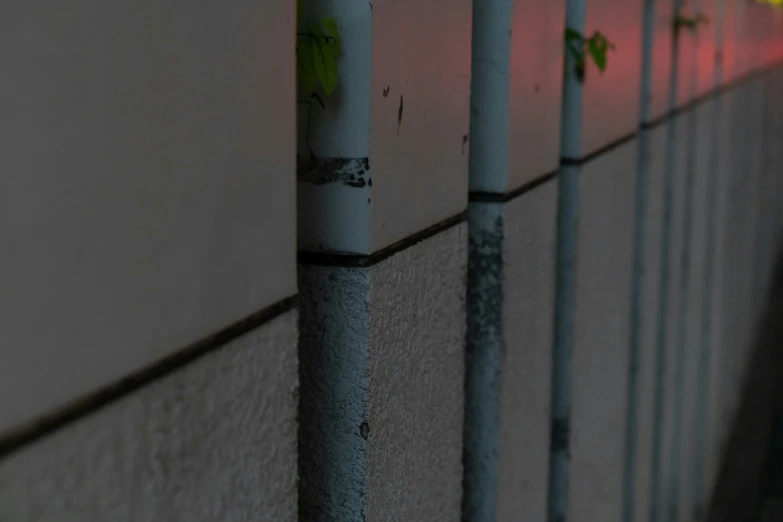 a metal pipe next to a wall with plant life on it