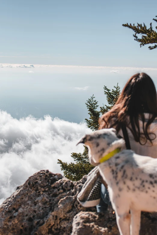 a woman looking out over clouds and water at a dog