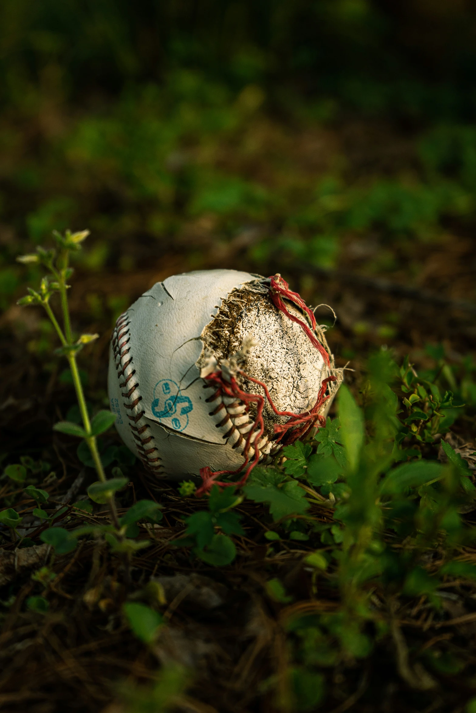 a baseball ball laying in the grass next to a plant