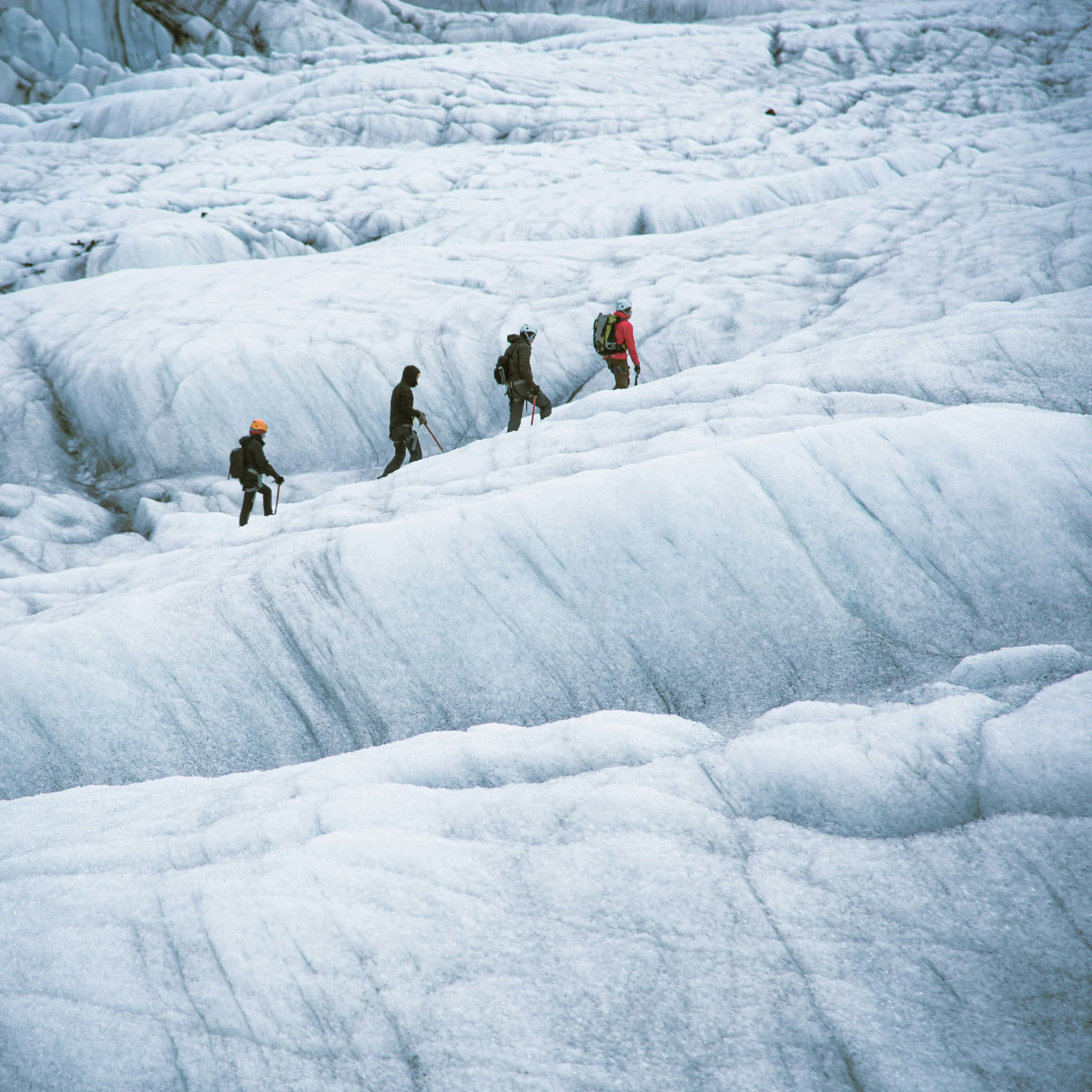 people on skis walking on a frozen glacier