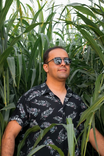 a person wearing sunglasses is standing among the plants