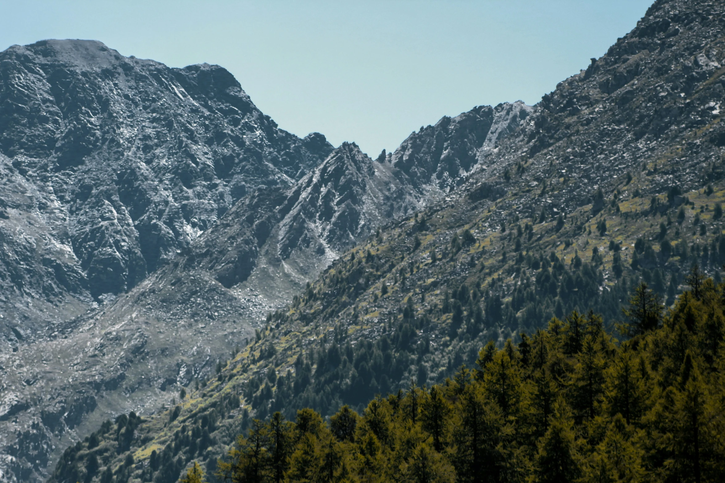 trees in front of mountains and a blue sky