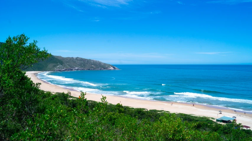 the beach is wide open and green with people