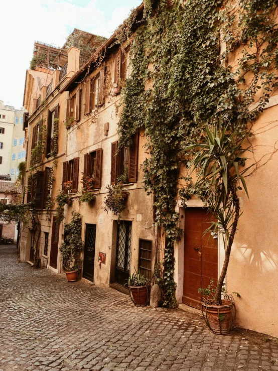 the brick street has many potted plants growing up on the building