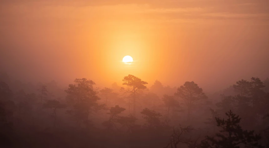 the sun is shining behind the foggy forest