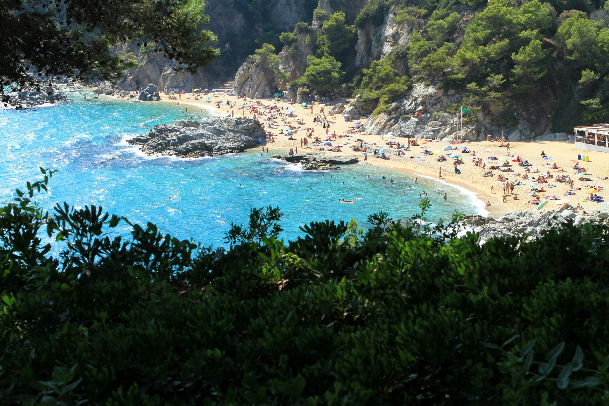 a bunch of people standing around on a beach by the water