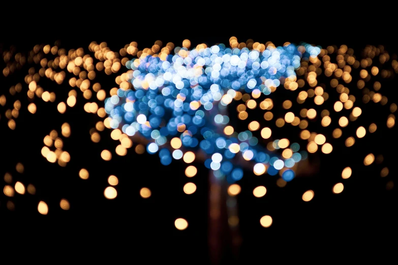 a lit up blue tree on a night of lights