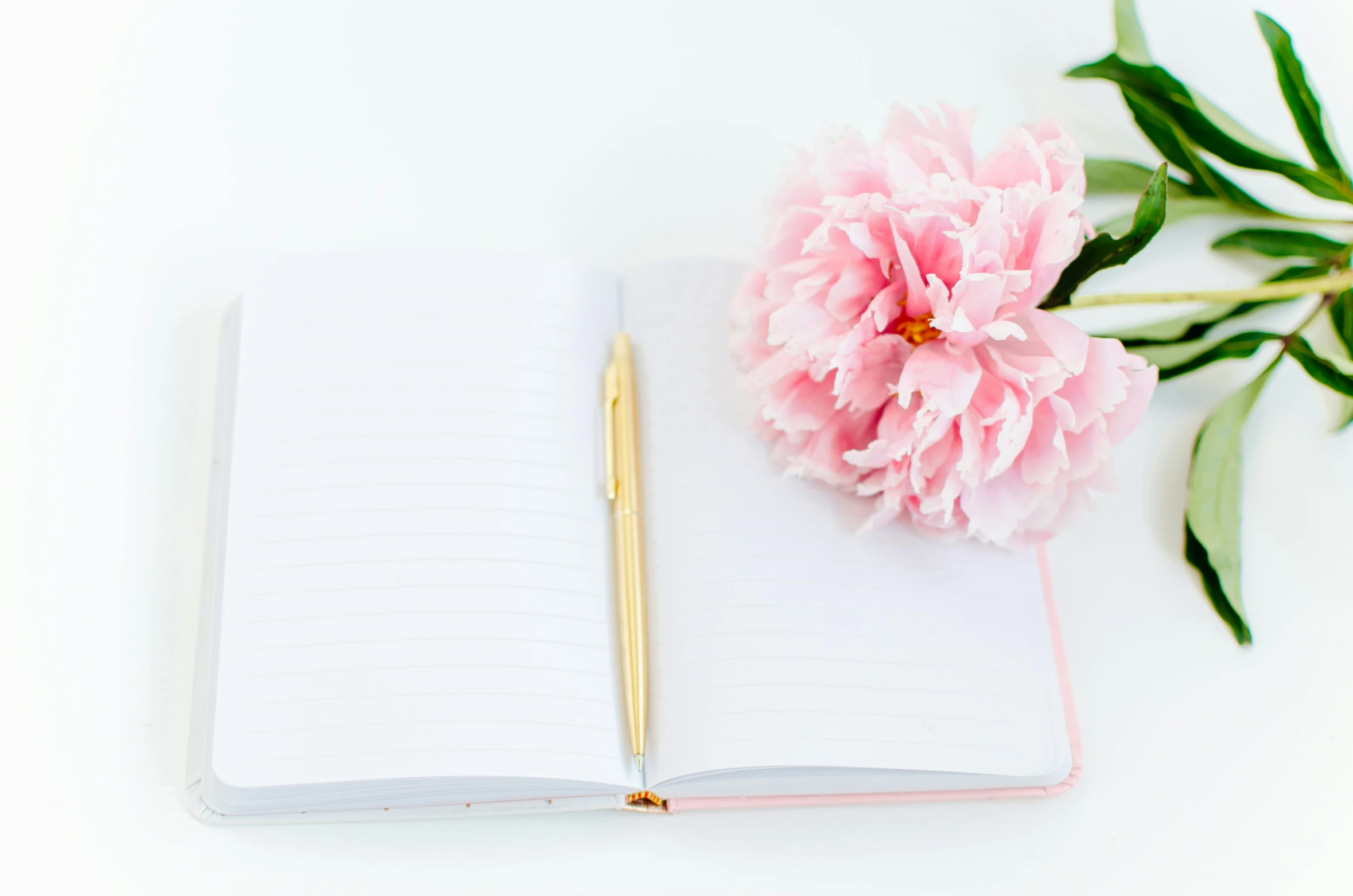 a pen and notebook with a pink flower on top of it