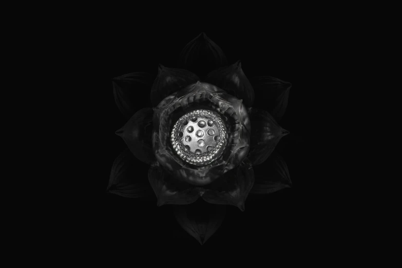 a large, fracta flower on a black background