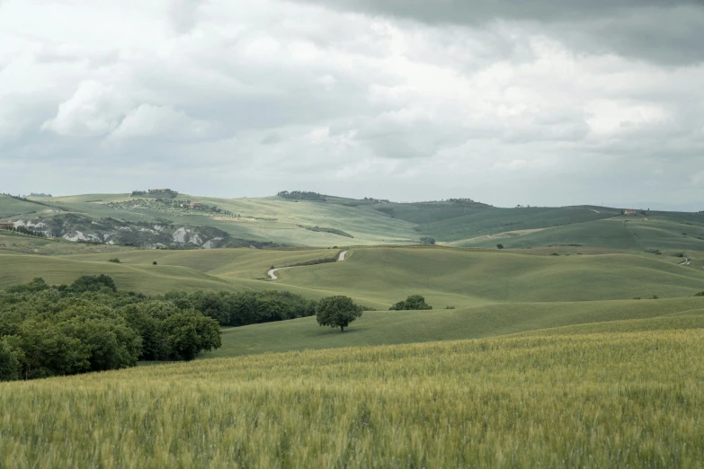 there is a field of grass and trees in the valley