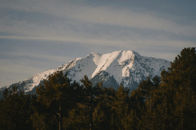 a mountain towering over trees with a sky background