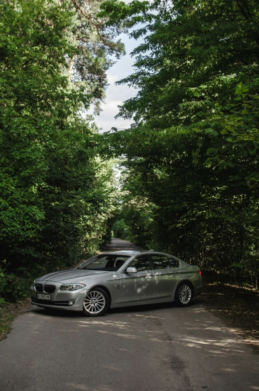 a silver car parked next to a forest filled with trees