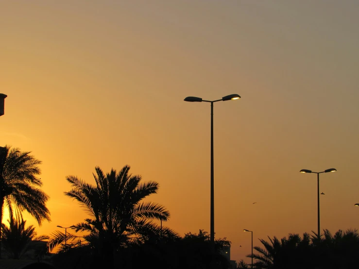 several street lamps and street lamps stand high up in the sky at sunset