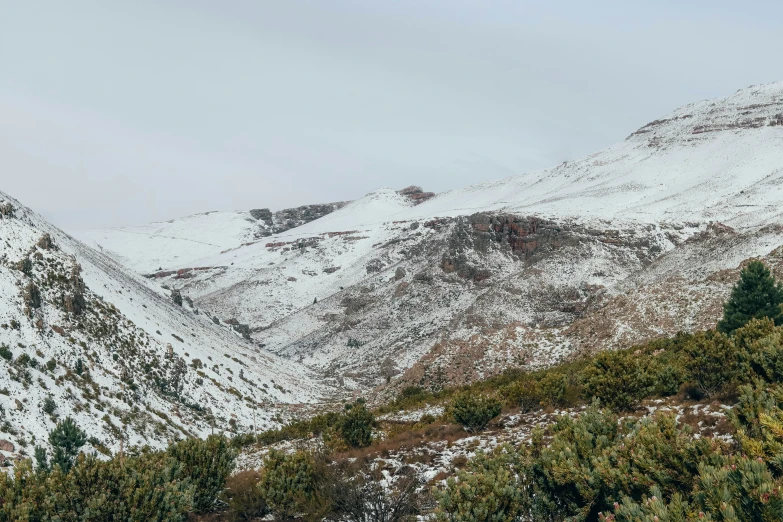 two mountains covered with snow near trees