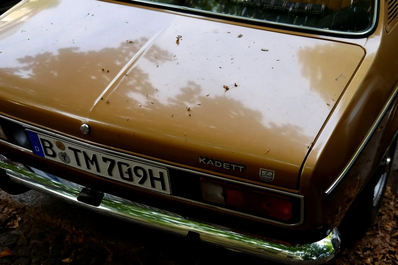 a rusted out car sitting on a leaf covered forest