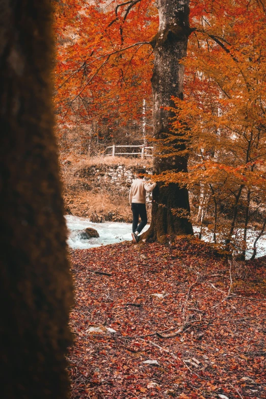 a person stands in leaves on the ground near a tree