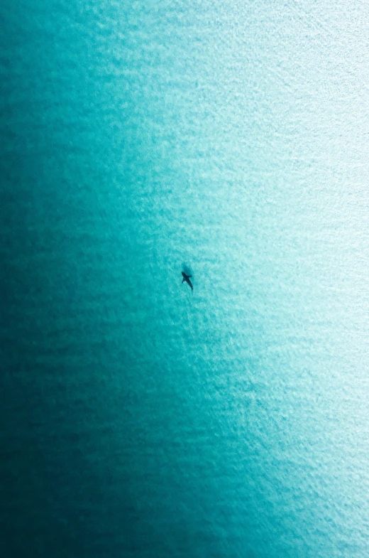 a surfer is seen from the air, with an airplane in the distance