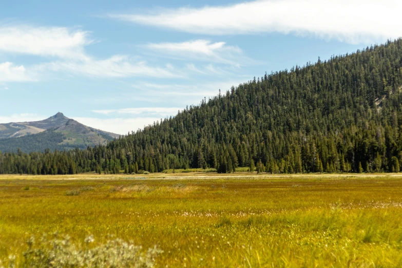 an empty field with a mountain in the background