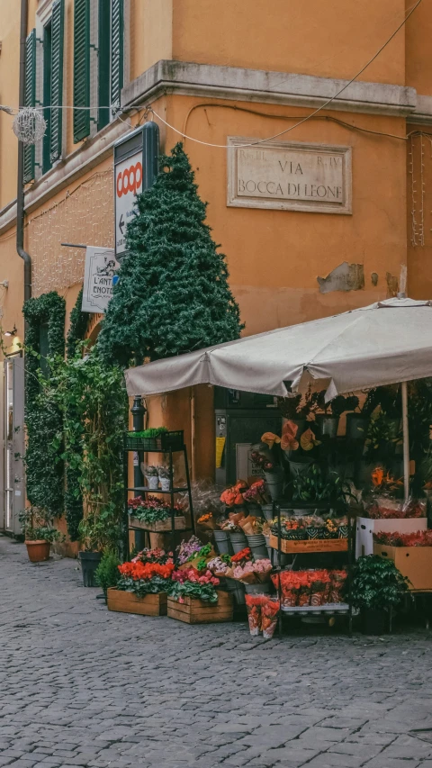 a narrow street with a number of flowers near a flower market