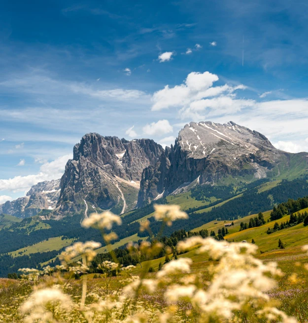 large mountain covered in snow on a sunny day